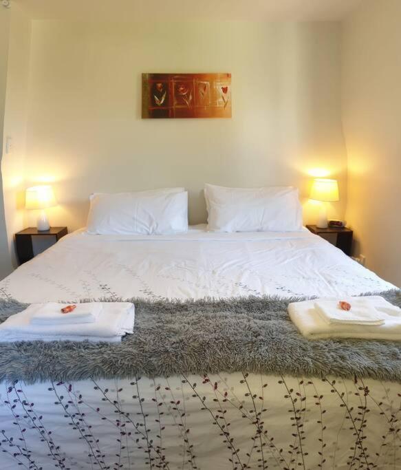 Central Cozy House - 10 Min Walk To Town كوينستاون المظهر الخارجي الصورة